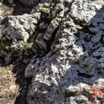 IMG_20190405_140343